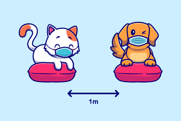 Cute Cat and Dog Social Distancing