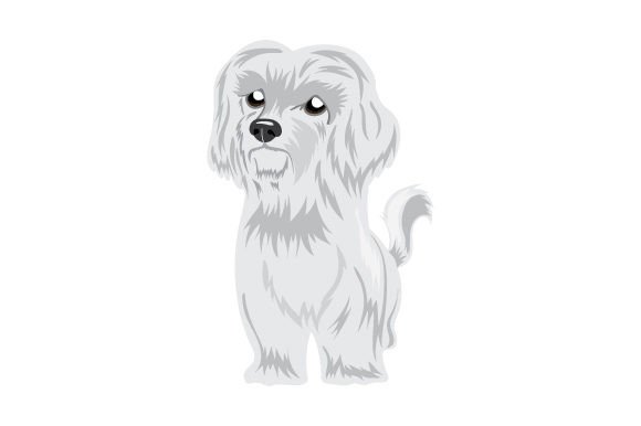 Maltese Dog, Sad